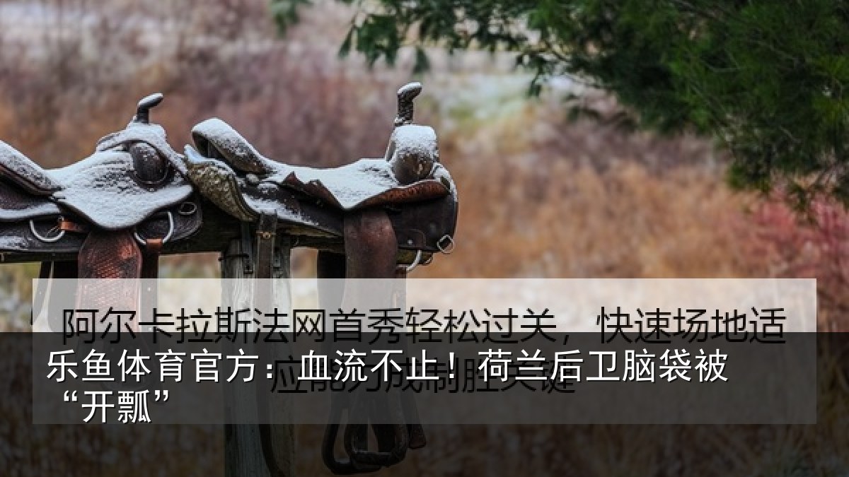 乐鱼体育官方:血流不止!荷兰后卫脑袋被“开瓢”