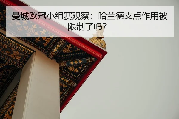 man-cheng-ou-guan-xiao-zu-sai-guan-cha-ha-lan-de-zhi-dian-zuo-yong-bei-xian-zhi-le-ma-2-747.jpg