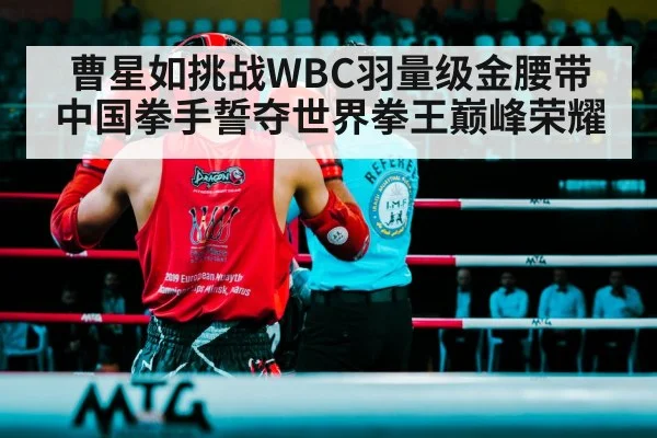 boxing ring fight